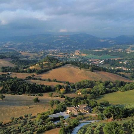 Agriturismo L'Antico Oliveto San Severino Marche Zewnętrze zdjęcie