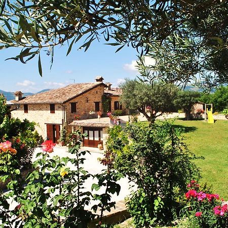 Agriturismo L'Antico Oliveto San Severino Marche Zewnętrze zdjęcie