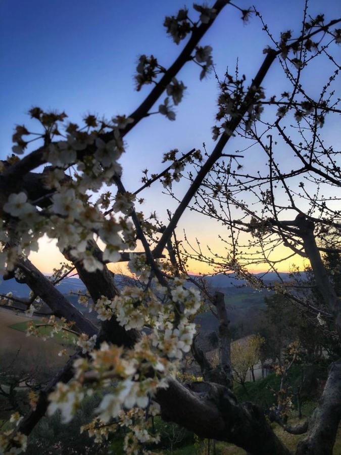 Agriturismo L'Antico Oliveto San Severino Marche Zewnętrze zdjęcie