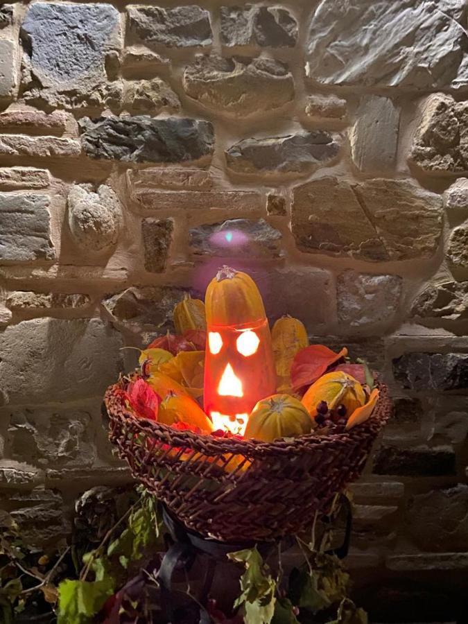 Agriturismo L'Antico Oliveto San Severino Marche Zewnętrze zdjęcie