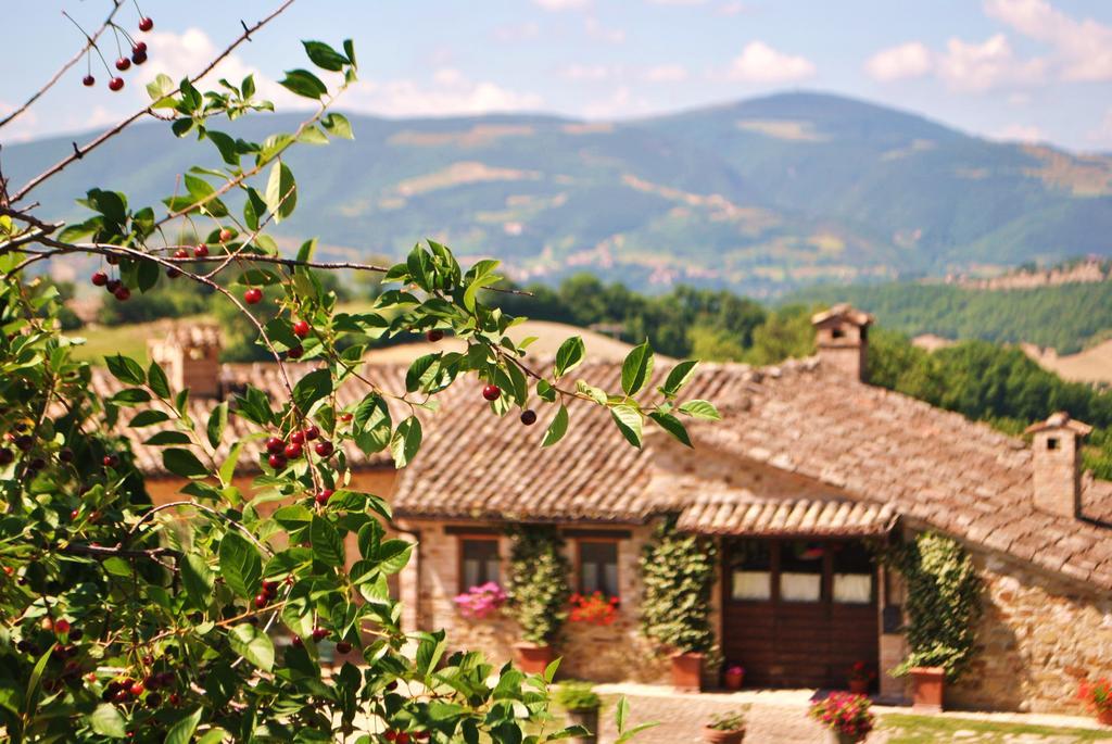 Agriturismo L'Antico Oliveto San Severino Marche Zewnętrze zdjęcie