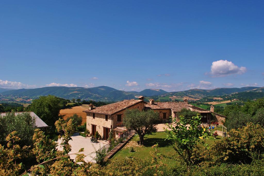Agriturismo L'Antico Oliveto San Severino Marche Zewnętrze zdjęcie