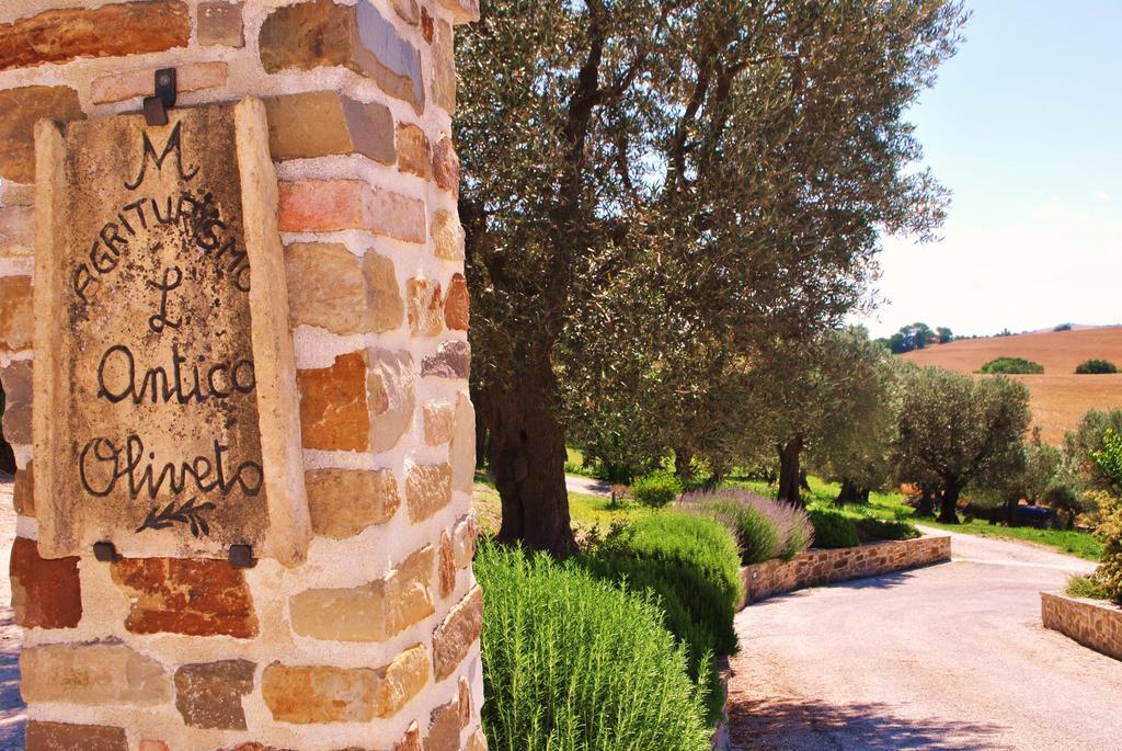 Agriturismo L'Antico Oliveto San Severino Marche Zewnętrze zdjęcie