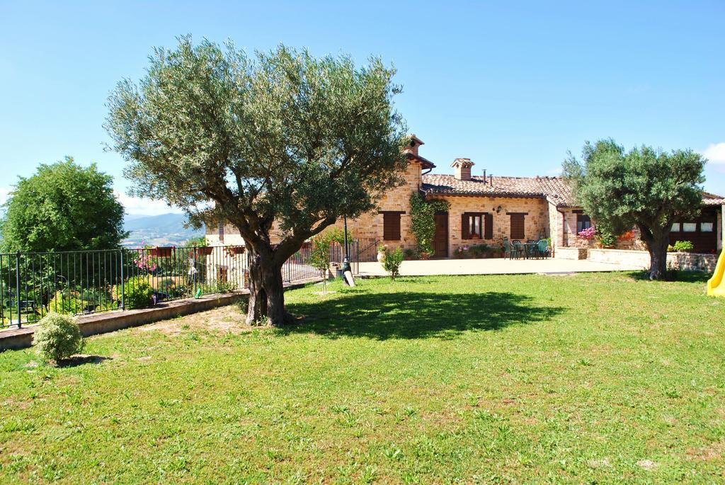 Agriturismo L'Antico Oliveto San Severino Marche Zewnętrze zdjęcie