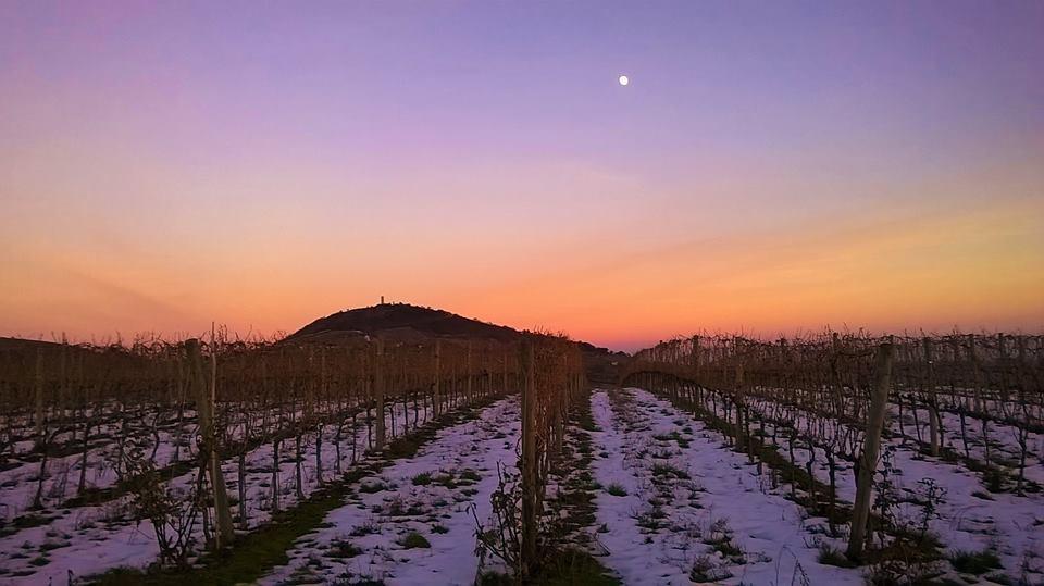 Agriturismo L'Antico Oliveto San Severino Marche Zewnętrze zdjęcie