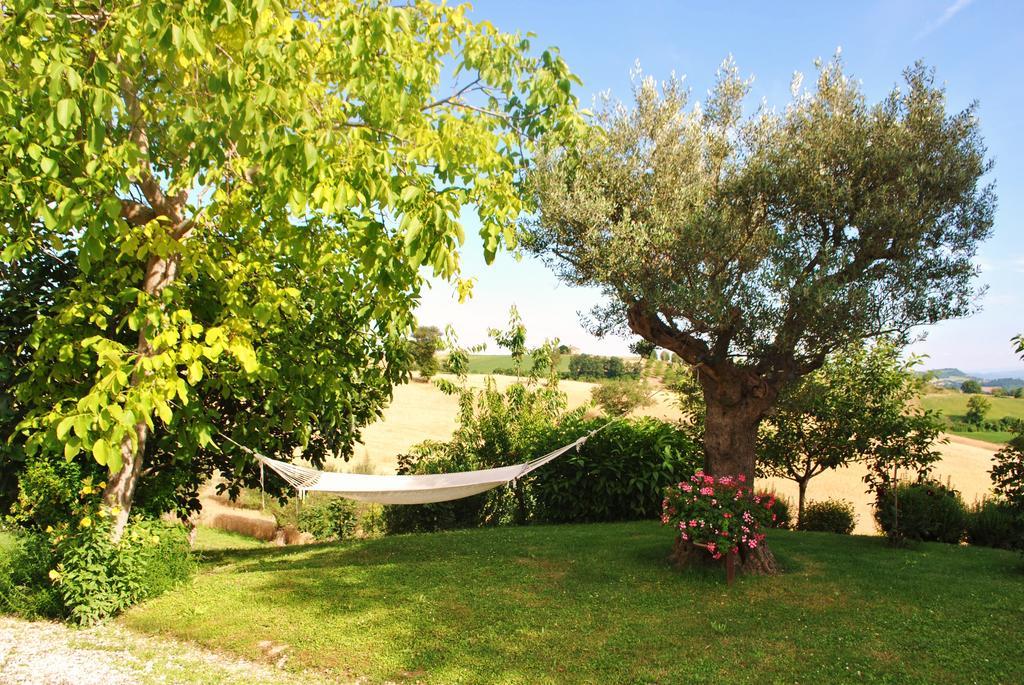 Agriturismo L'Antico Oliveto San Severino Marche Zewnętrze zdjęcie